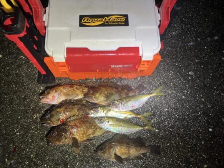 アジング、メバリング